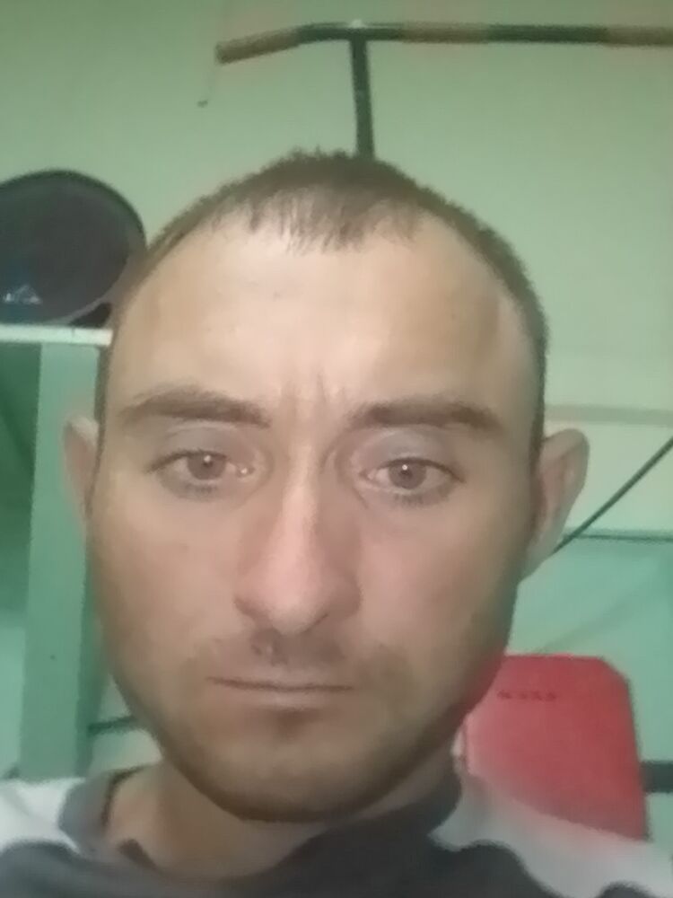  23339955  , 32 ,    