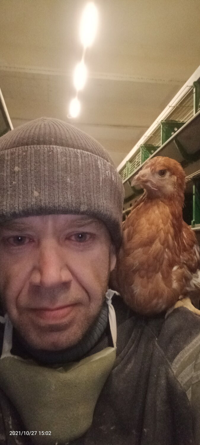 ���� 25235055 ������� ����, 44 ����, ���� ���������� � �������������