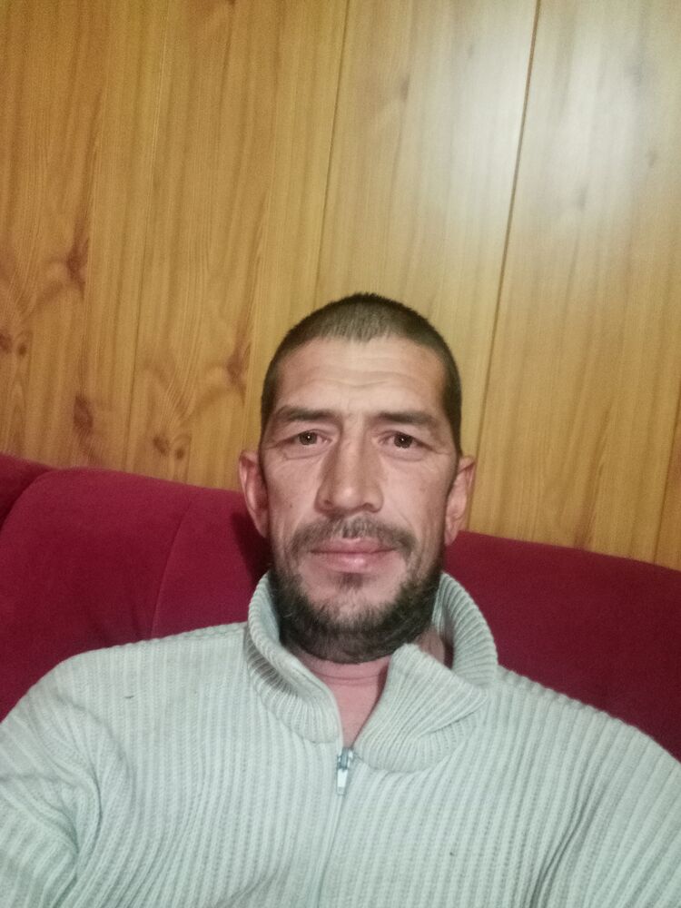 ���� 31392375 ������� �������, 42 ����, ���� ���������� � ���������� ������