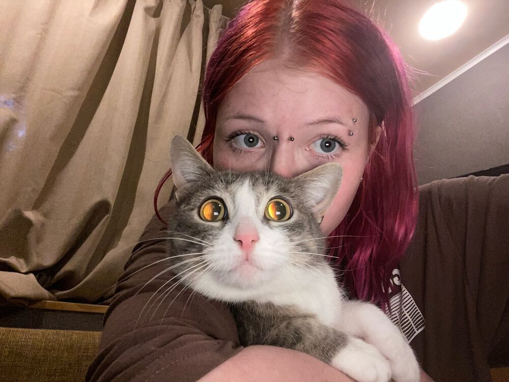 ���� 40819175 ������� �����, 21 ���, ���� ���������� � ������