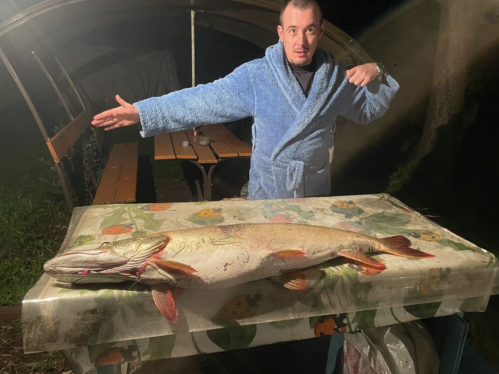 ���������� �����������, ���� ������� ���������, 39 ���, ������������ ��� c�������� ���������