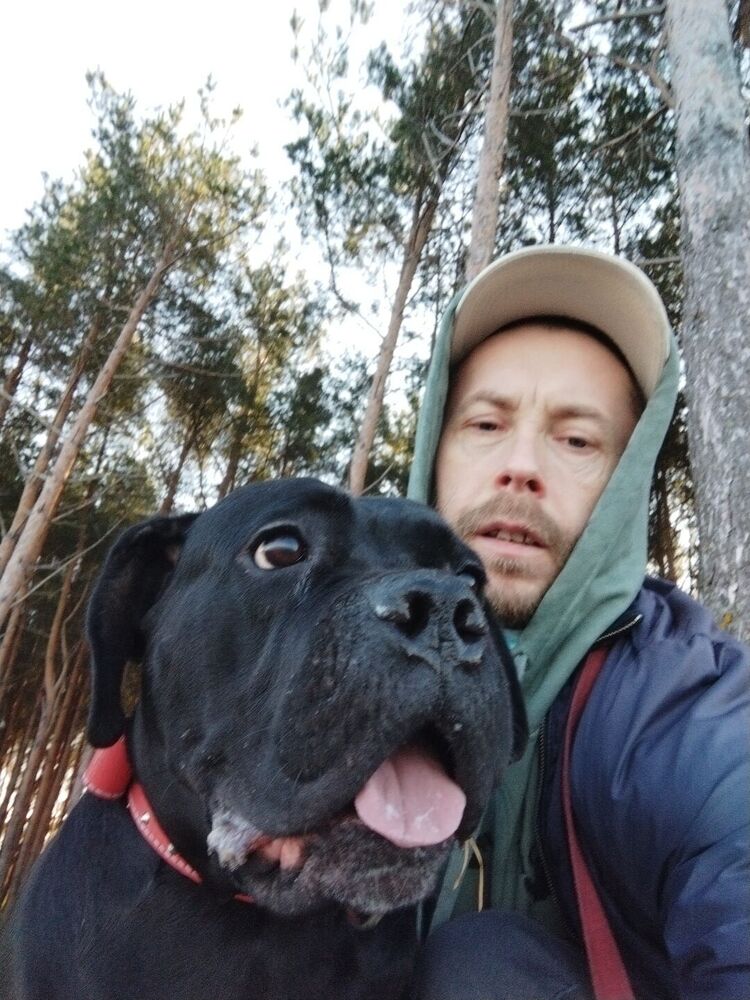 ���� 36984105 ������� ������, 48 ���, ���� ���������� � ������������