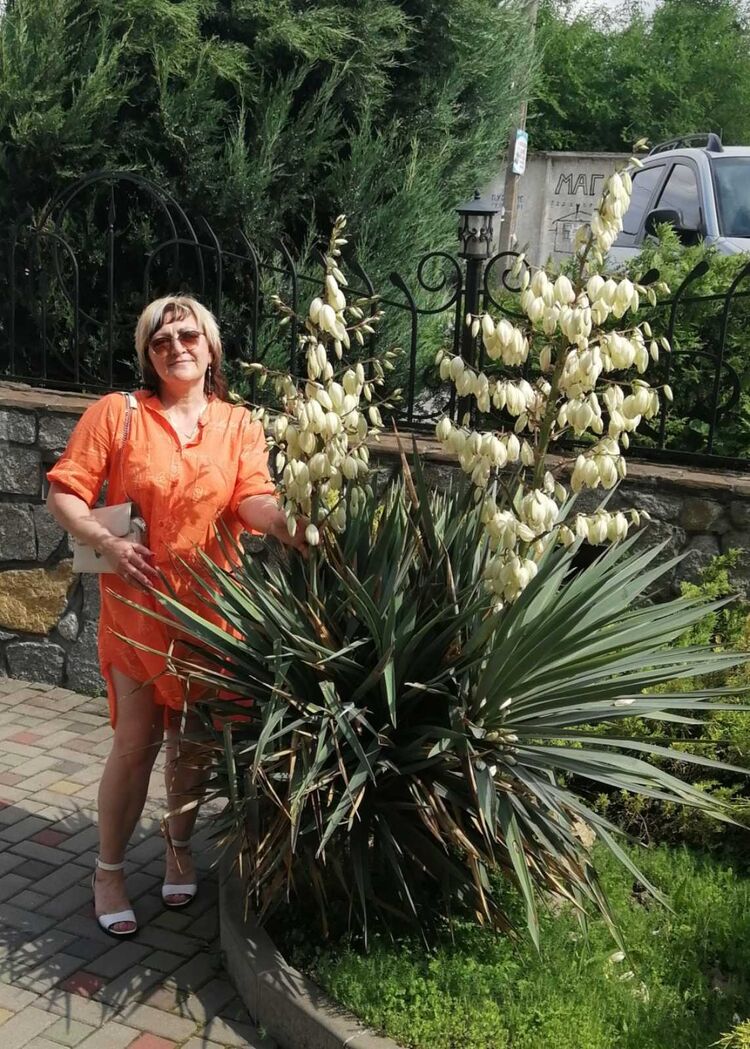  ,   , 57 ,   c , 
