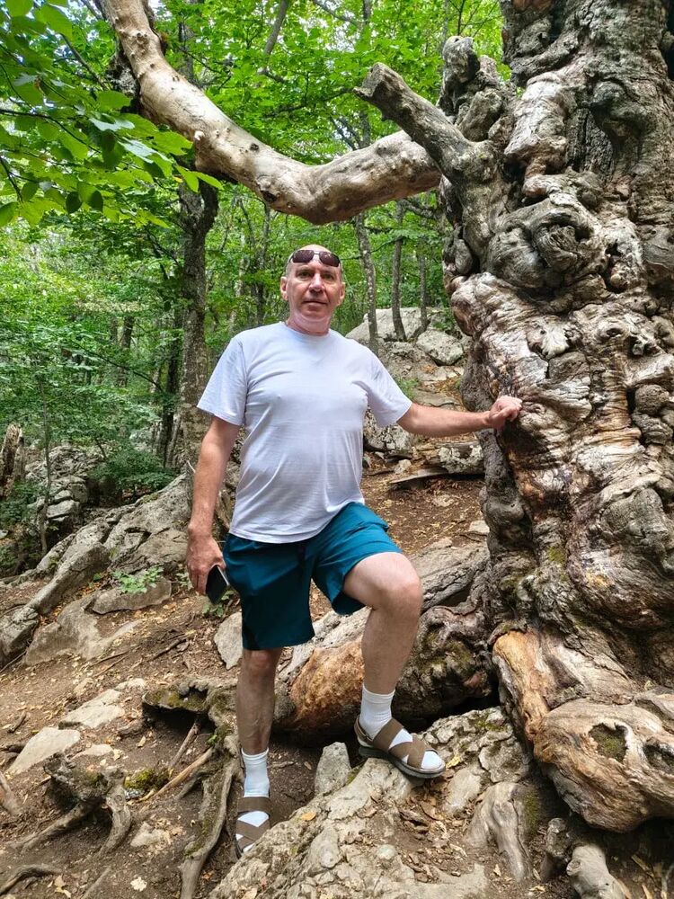 ���� 54951115 ������� ������, 55 ���, ���� ���������� � ��������