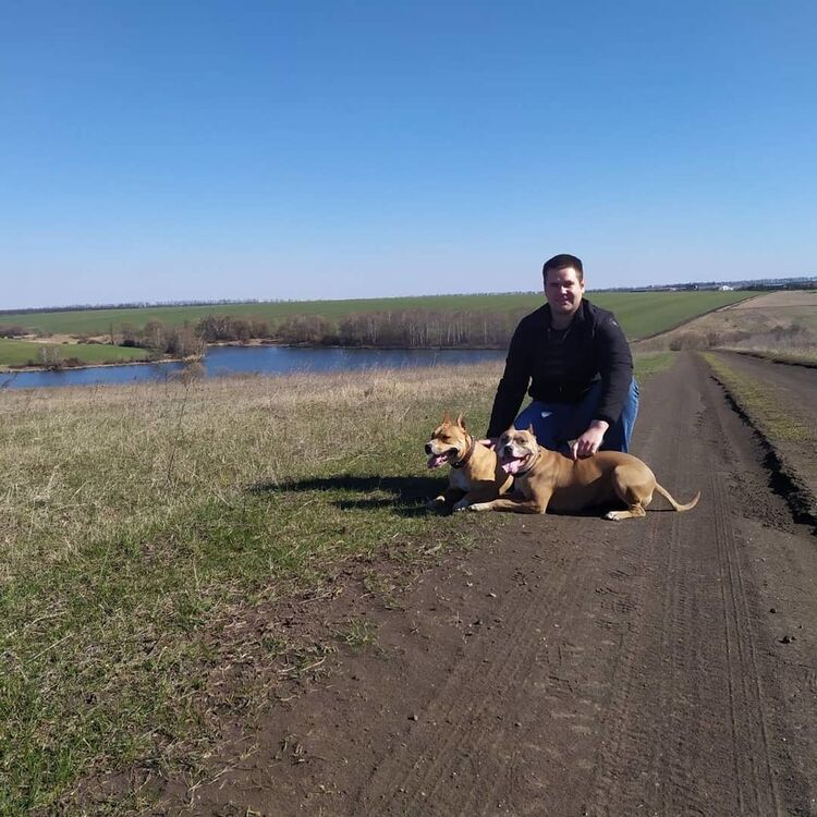  ,   Bogdan, 32 ,   ,   , c 