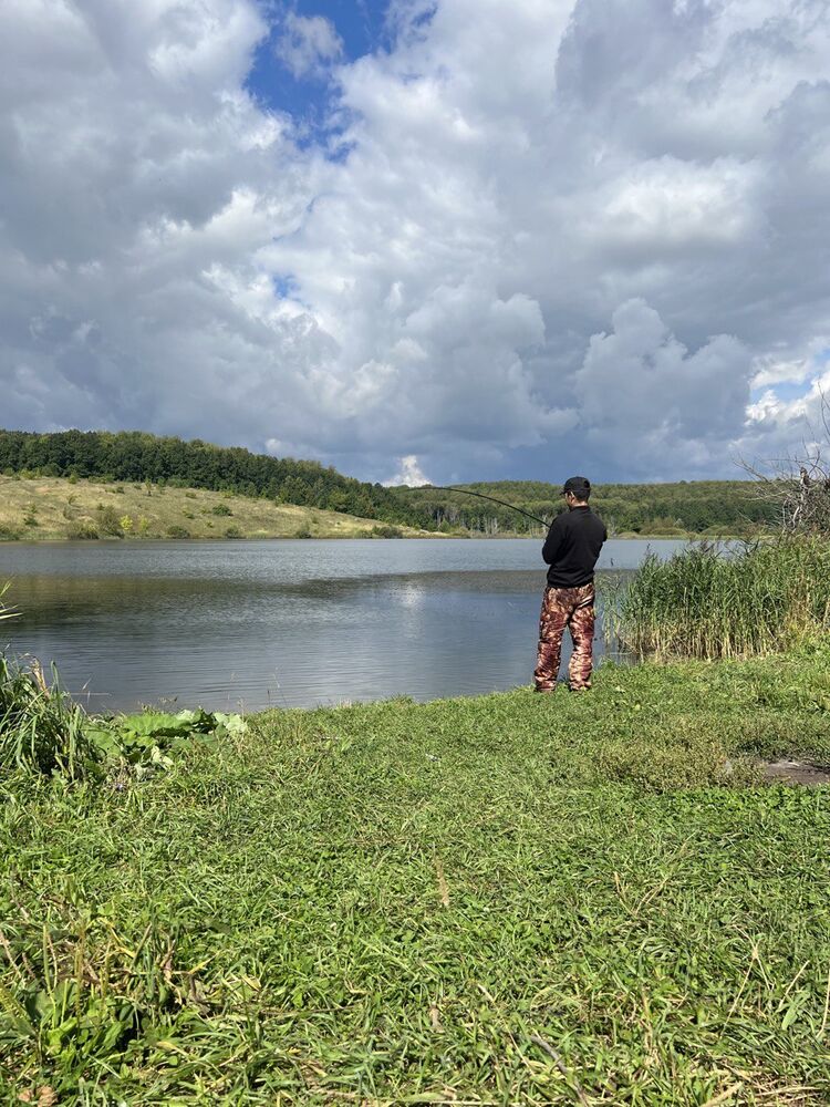 ���� 55047695 ������� ������, 32 ����, ���� ���������� � ��������