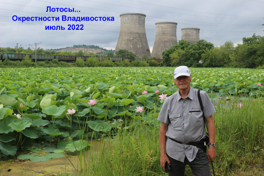  28523465  , 80 ,    