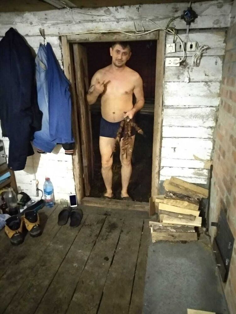 ���������� �����������, ���� ������� ��������, 44 ����, ������������ 