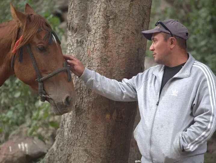 ���� 30859025 ������� �����, 45 ���, ���� ���������� � ������