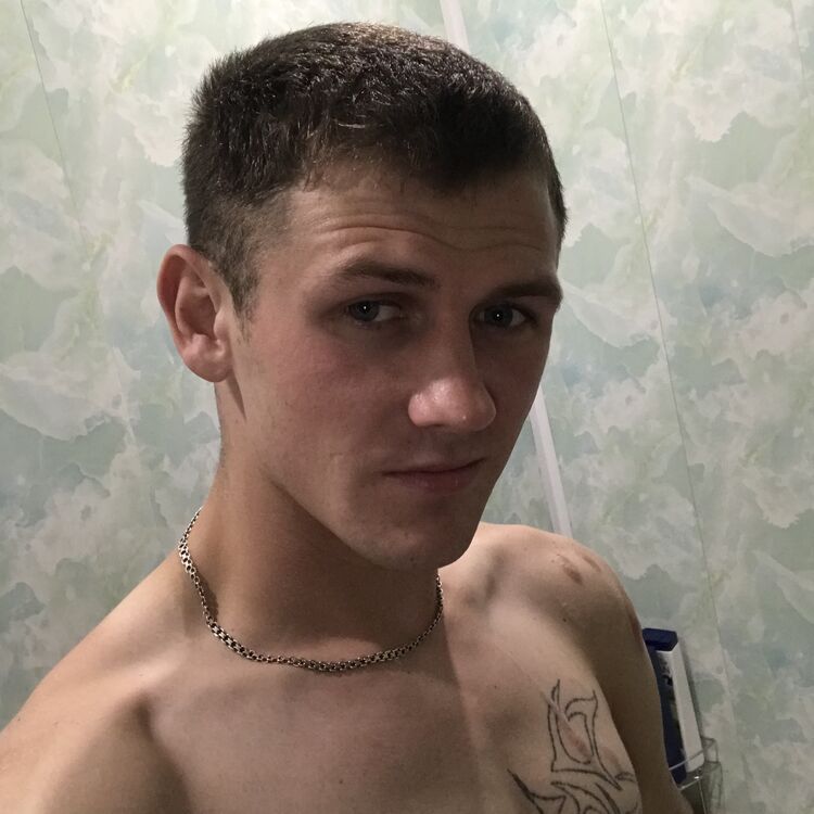  31551655  , 28 ,    