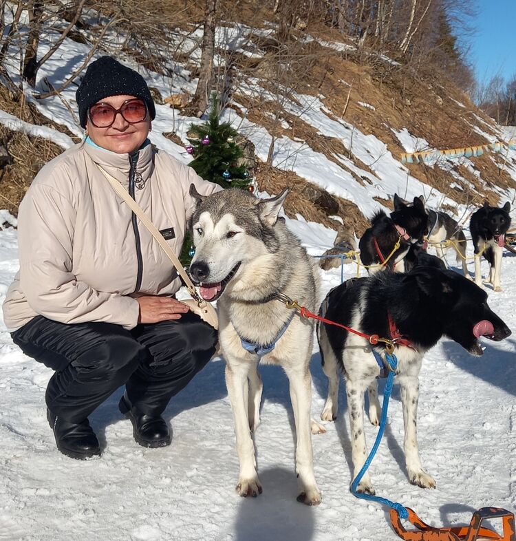  52731945  , 60 ,    -