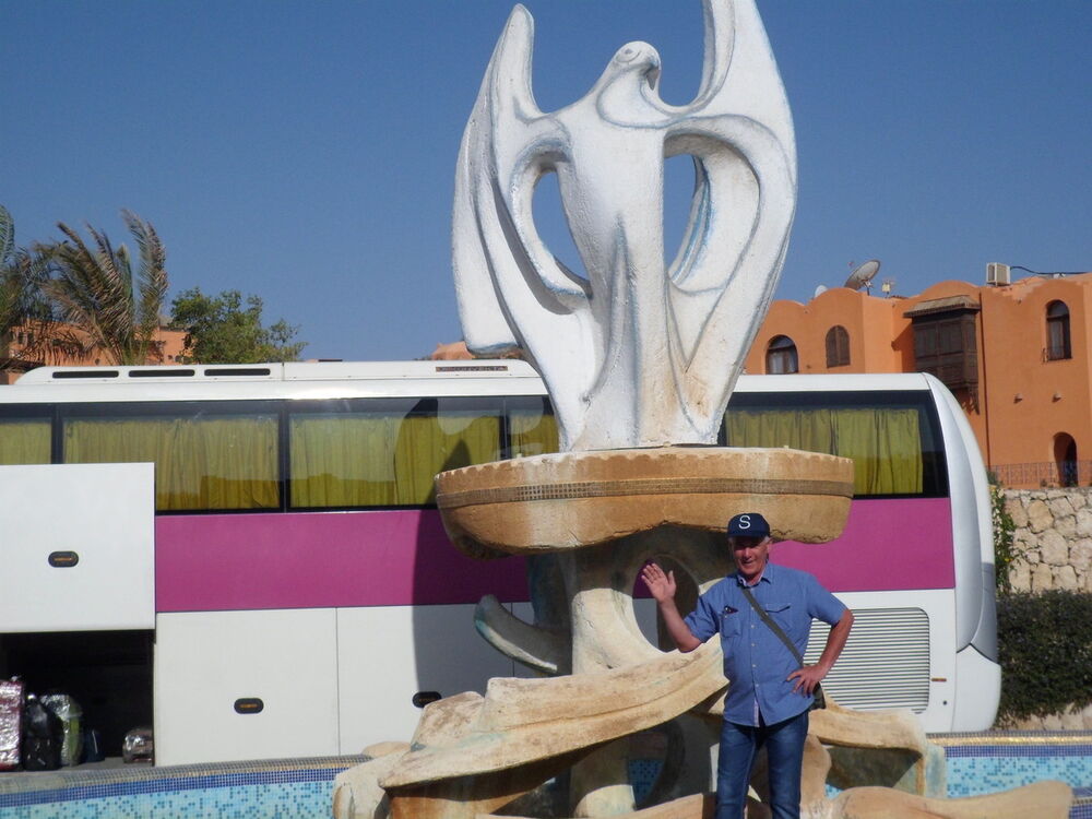  9174435  , 61 ,    -