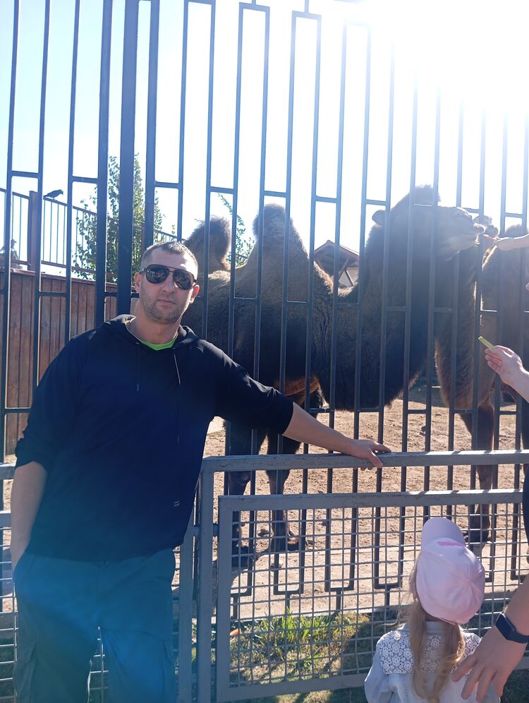 ���� 54084165 ������� �������, 36 ���, ���� ���������� � �������