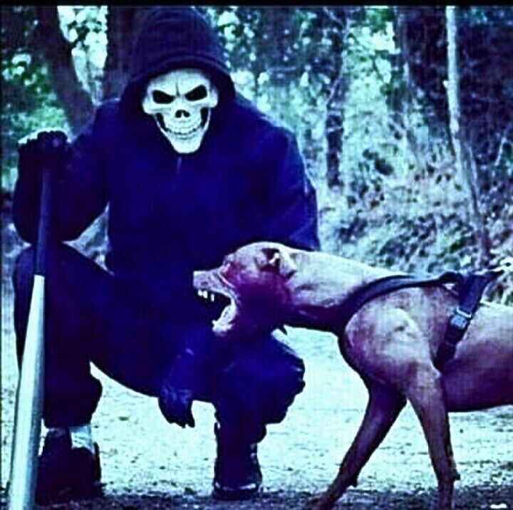 ���������� ���������, ���� ����� ������, 25 ���, ������������ ��� ������, ����� � ���������