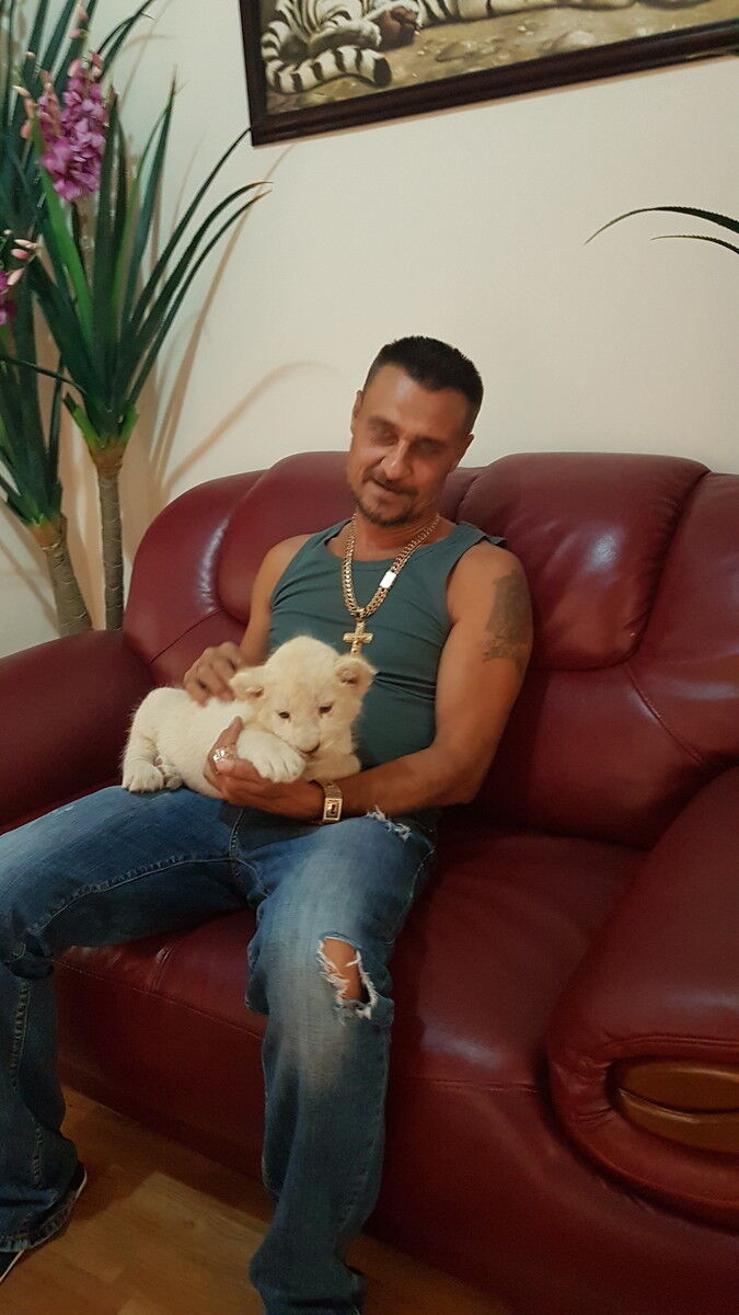 10685345  Nikolas, 55 ,    