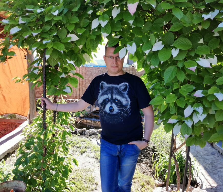  ,   , 41 ,   ,   , 