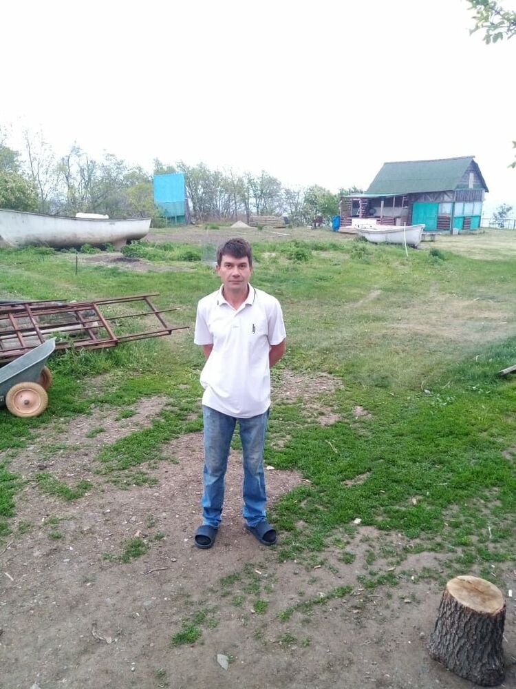  31178235  , 41 ,    
