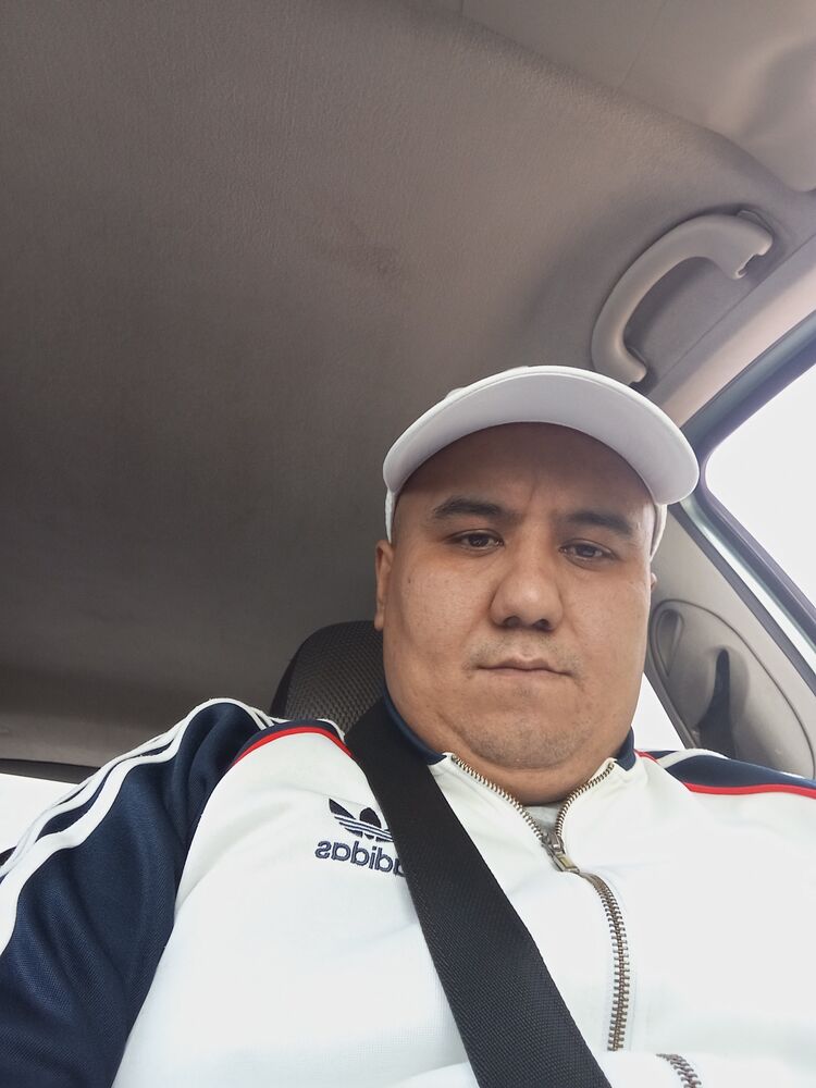  43900575  , 33 ,    
