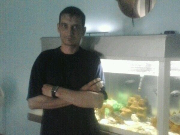 ���� 8195795 ������� ��������, 47 ���, ���� ���������� � ����������