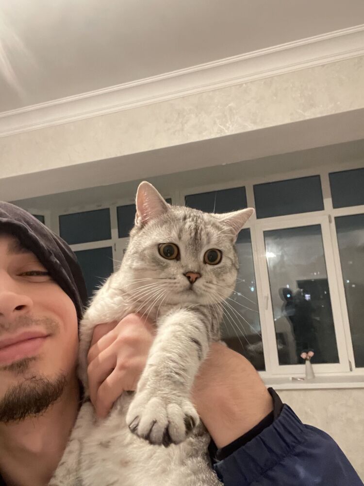 ���������� ���������, ���� ����� ������, 25 ���, ������������ ��� ������