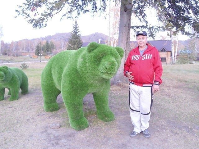 ���� 13484305 ������� �����, 104 ����, ���� ���������� � �����