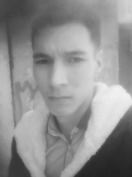 ���� 31132685 ����� ������, 24 ����, ���� ���������� � ������-���