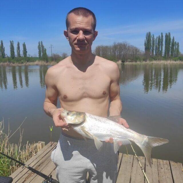 ���� 46588175 ������� �������, 36 ���, ���� ���������� � ����������