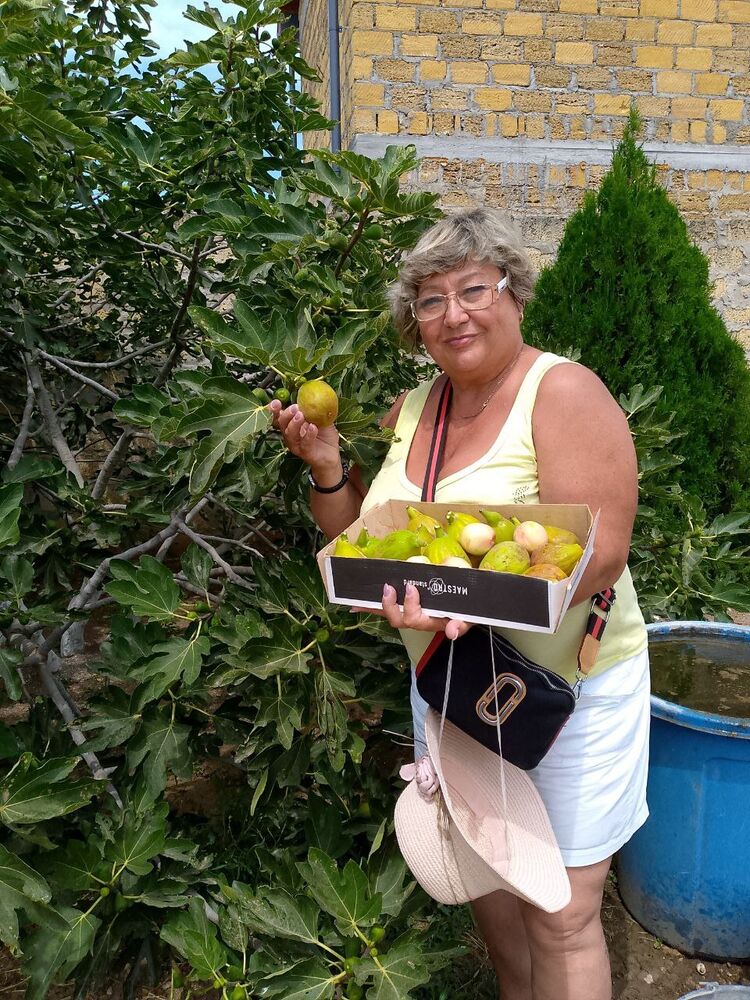 ���������� ������������, ���� ������� ����, 57 ���, ������������ ��� ������, ����� � ���������, c�������� ���������, ���������