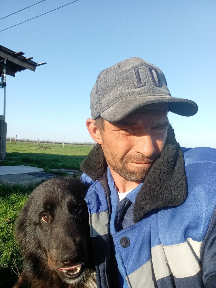 50934445  Aleksei, 39 ,    --