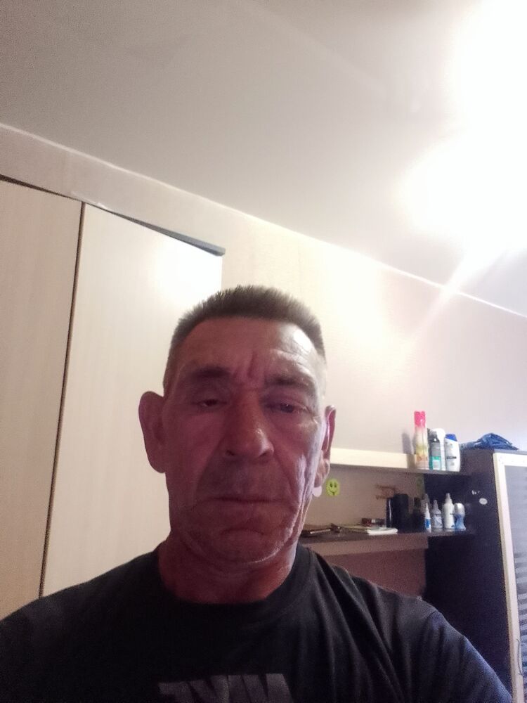 43591335  , 55 ,    
