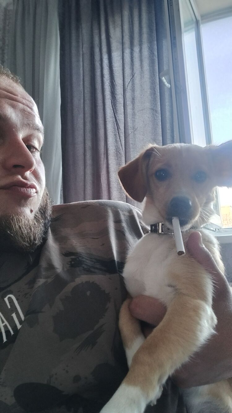 ���������� ���������, ���� ������� ����, 26 ���, ������������ ��� ������, ����� � ���������, c�������� ���������, ���������