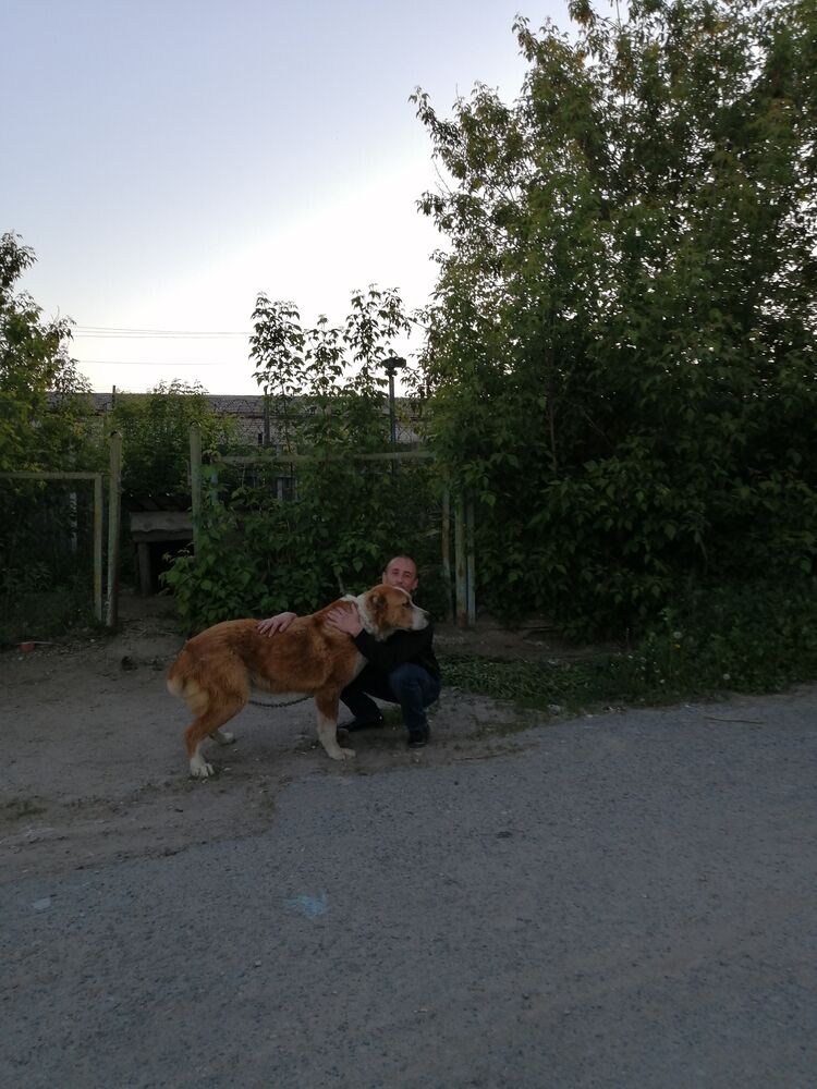  22742455  , 36 ,    