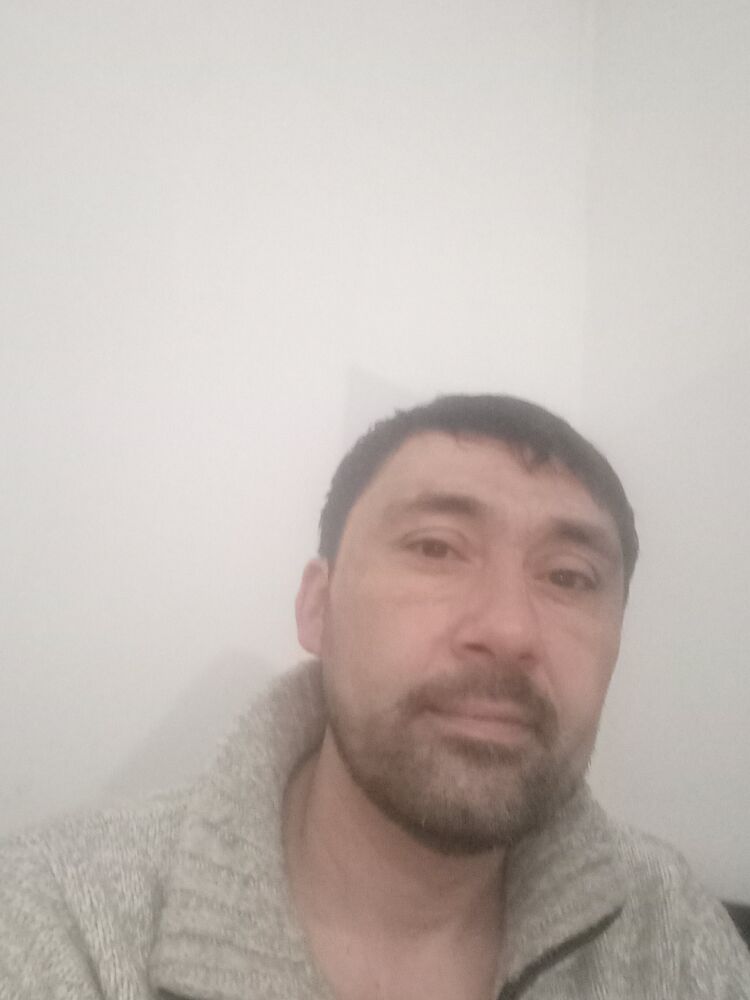  49409235  T, 41 ,    