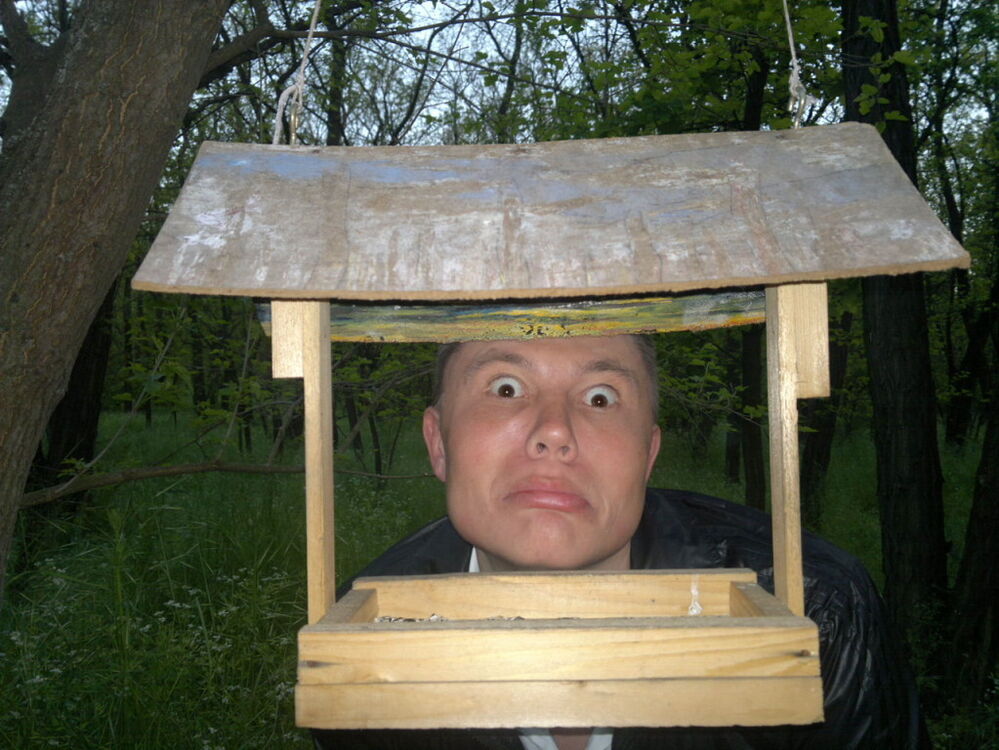  ,   , 41 ,   