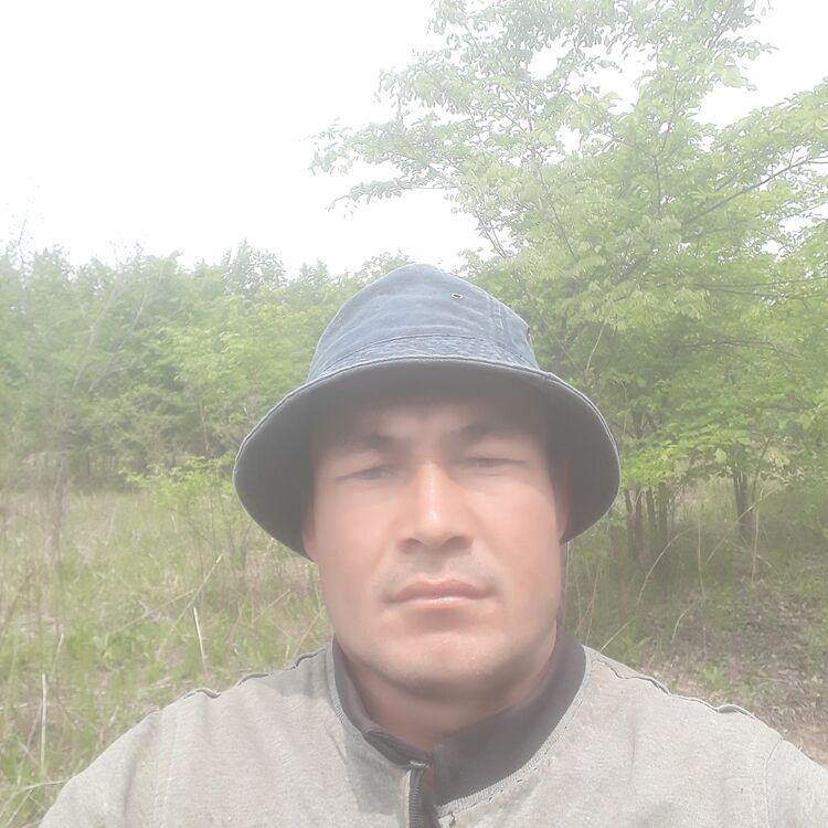 ���� 26822465 ������� ������, 30 ���, ���� ���������� � ������