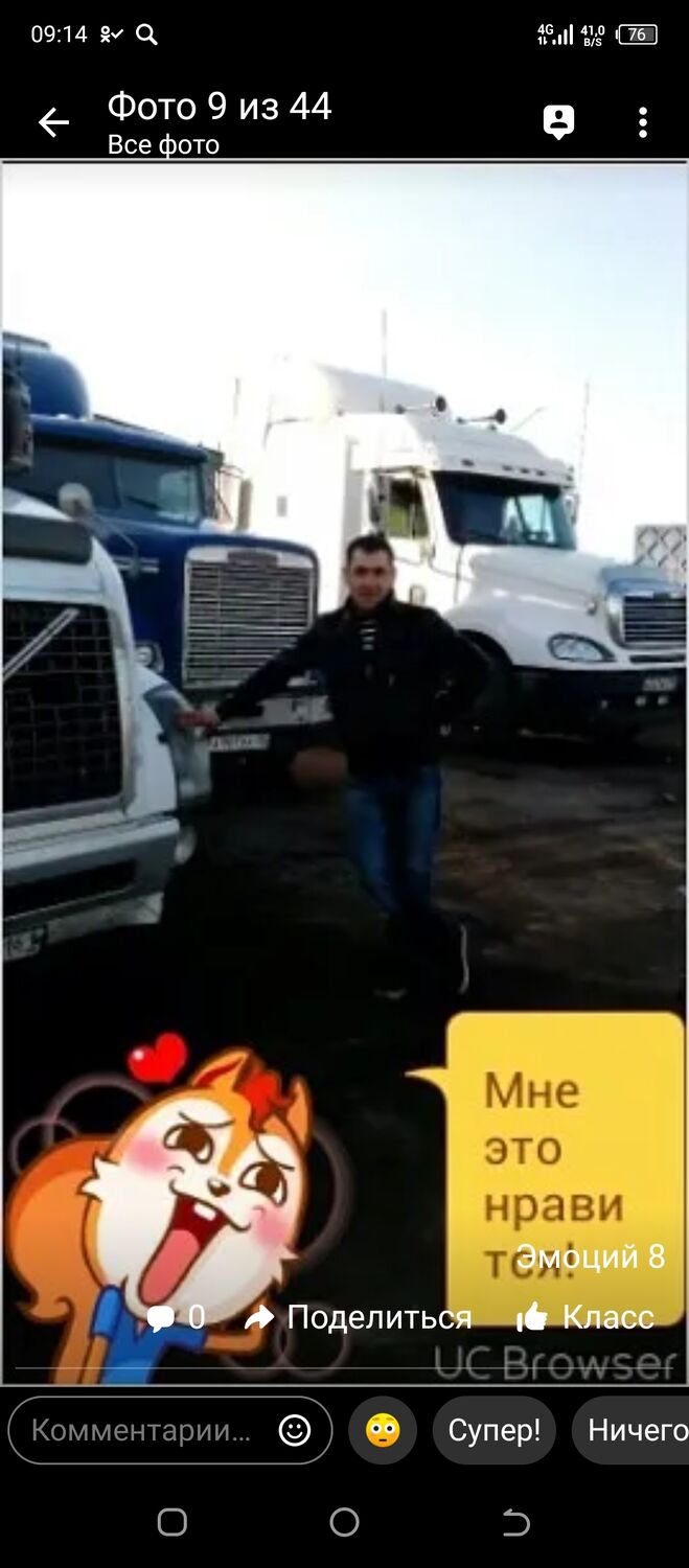  33909645  , 37 ,    