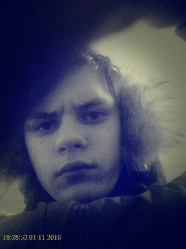  8390795  , 28 ,    -