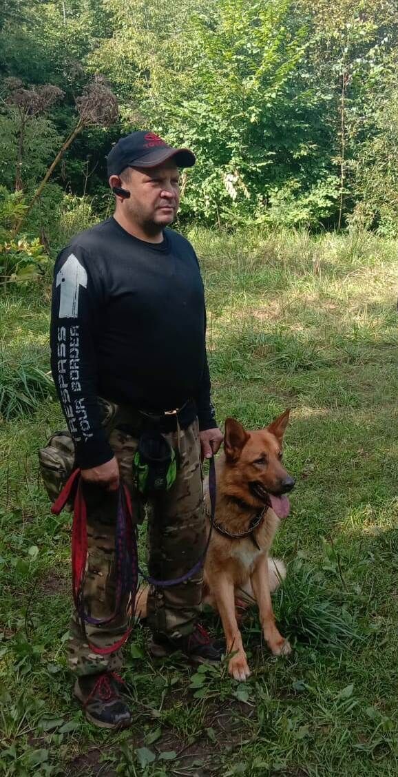 ���������� �����, ���� ������� �������, 50 ���, ������������ ��� ������, ����� � ���������