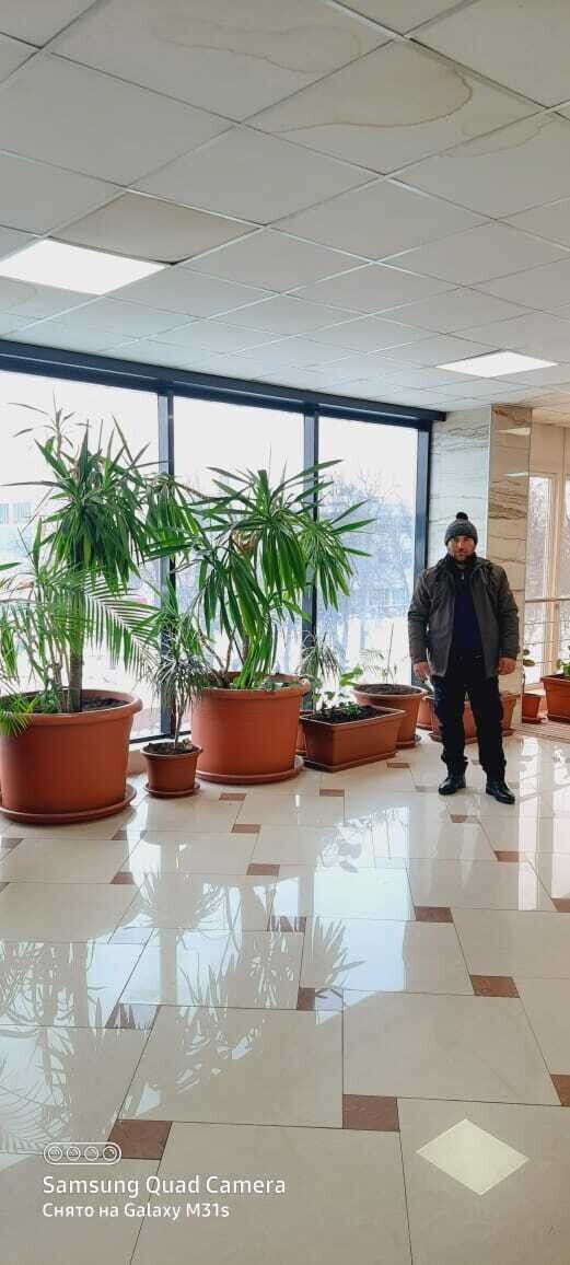 ���� 22282725 ������� Muhiddin, 40 ���, ���� ���������� � ��������