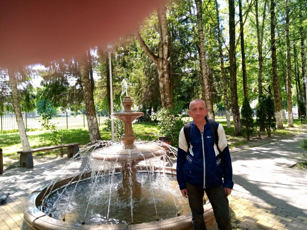 ���� 39342395 ������� ����, 44 ����, ���� ���������� � �����-����������