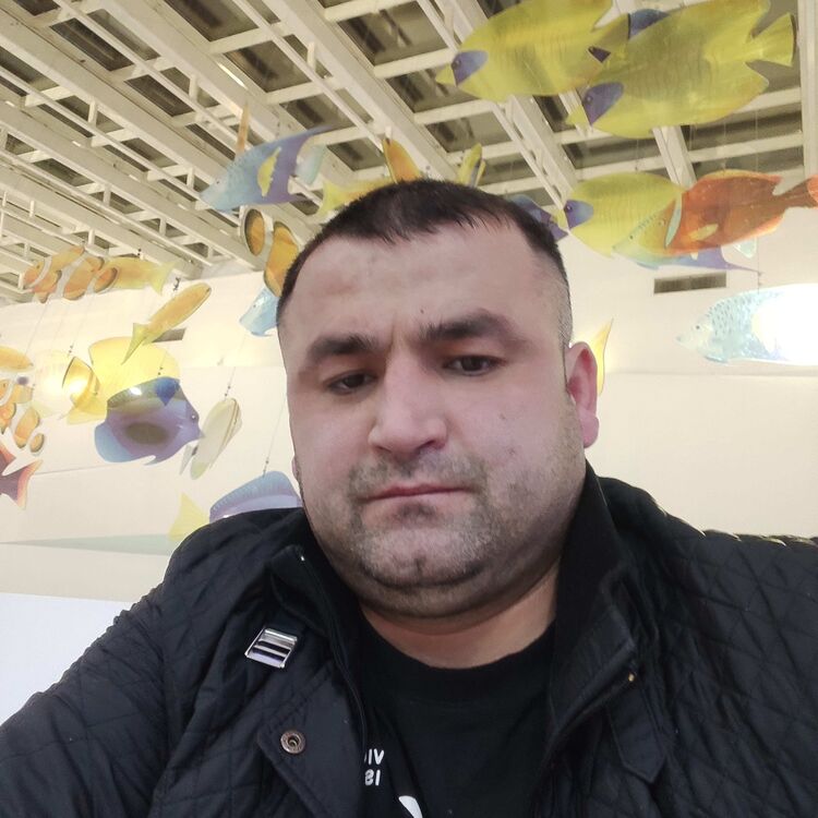 ���� 39414685 ������� ���, 38 ���, ���� ���������� � ������