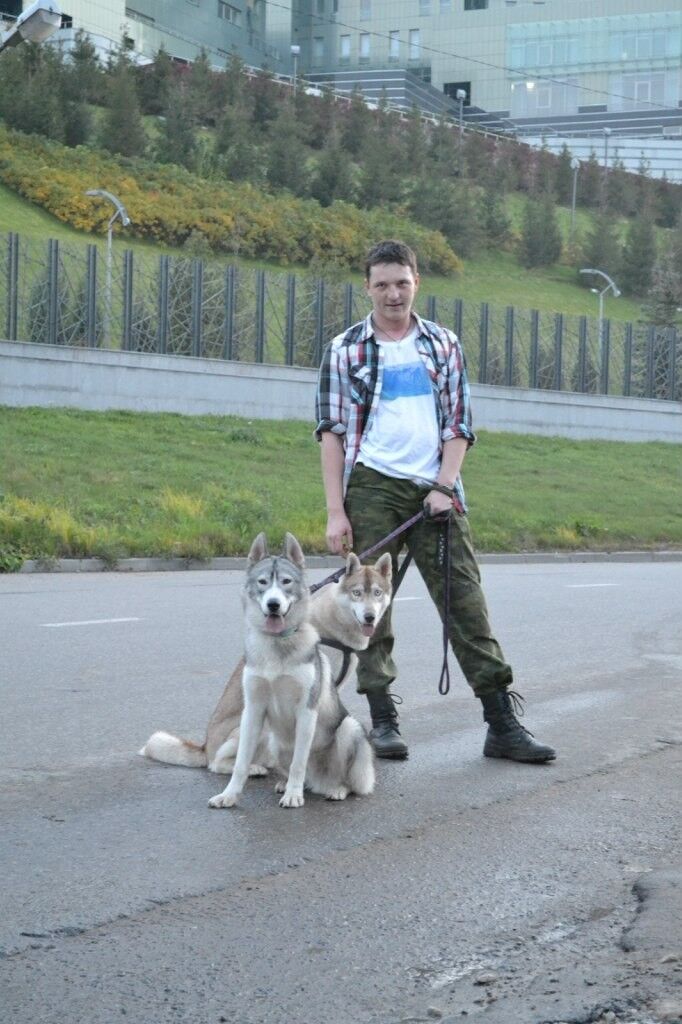 ���� 7872355 ������� ������, 39 ���, ���� ���������� � ������