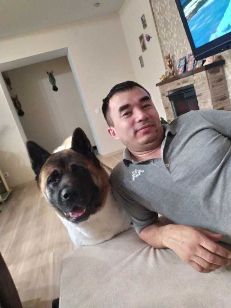 ���������� ������, ���� ������� �����, 41 ���, ������������ ��� ������, ����� � ���������, c�������� ���������