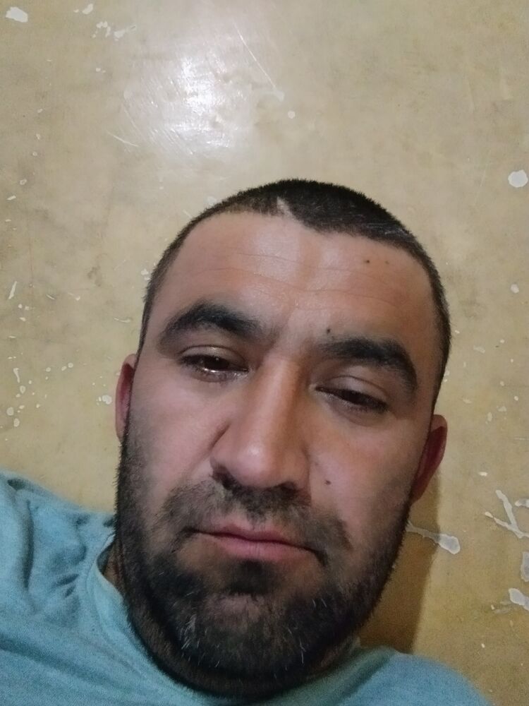  ,   PROFI, 37 ,   ,   