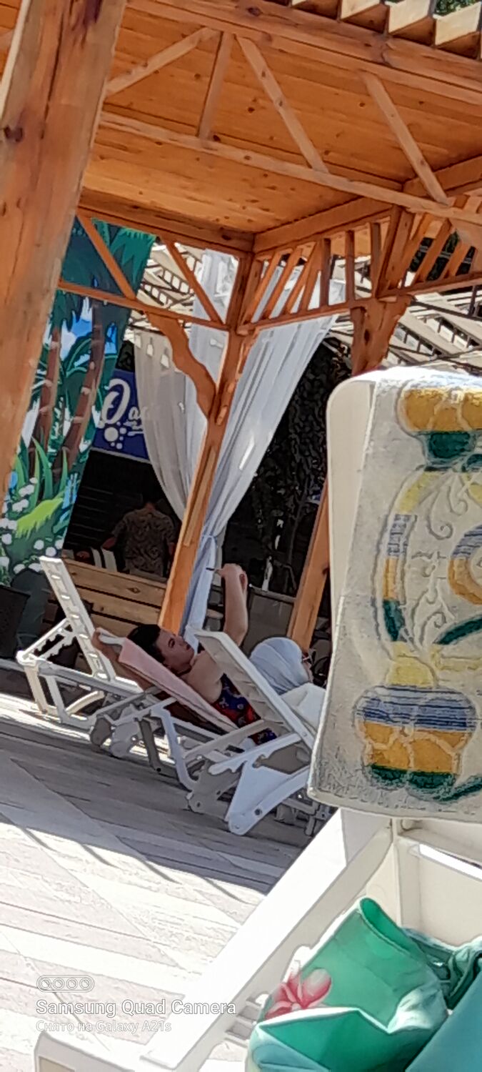  23931555  , 29 ,    