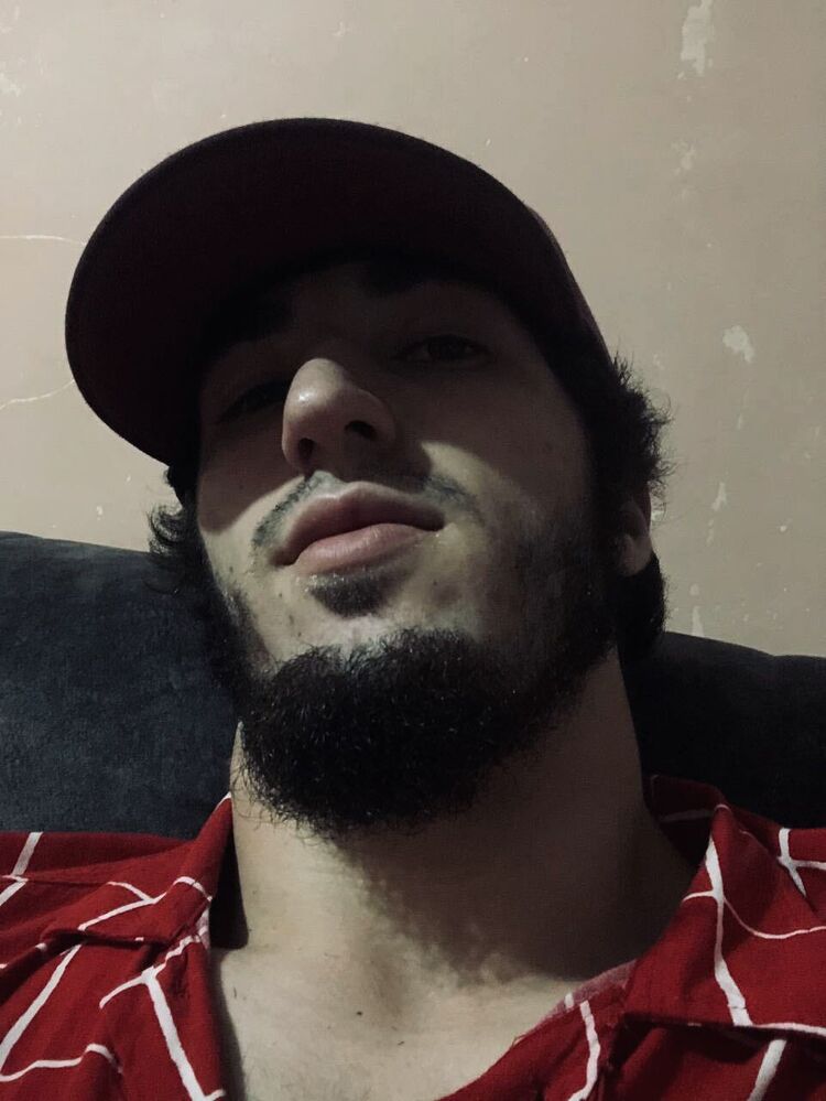 50294835  , 26 ,    
