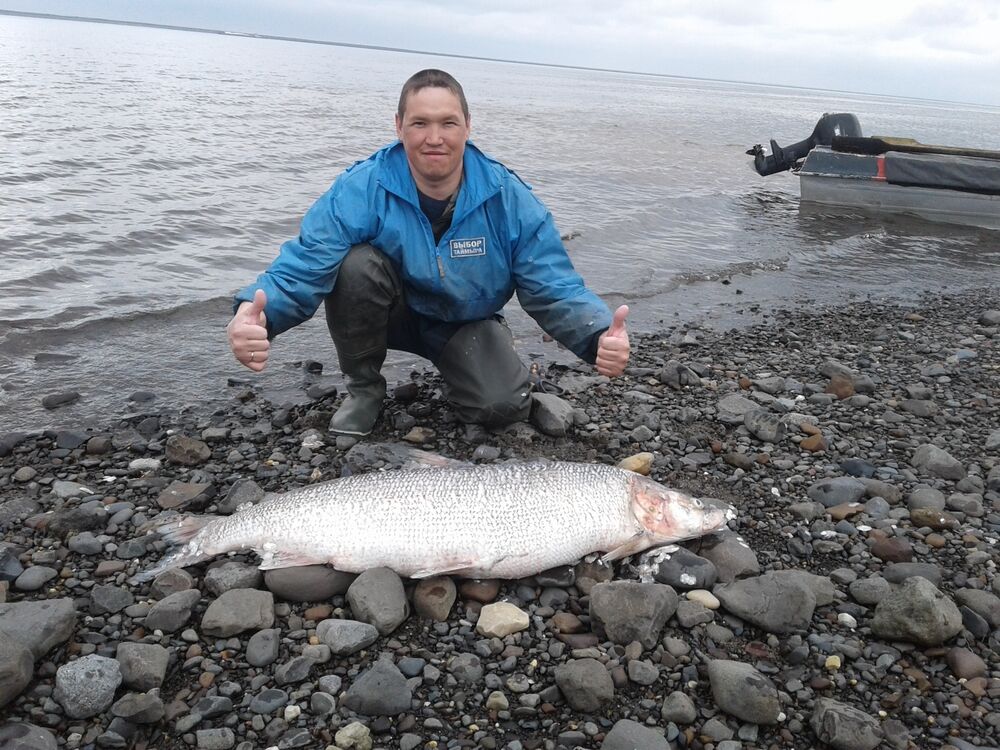 ���� 26012885 ������� �����, 43 ����, ���� ���������� � �����������