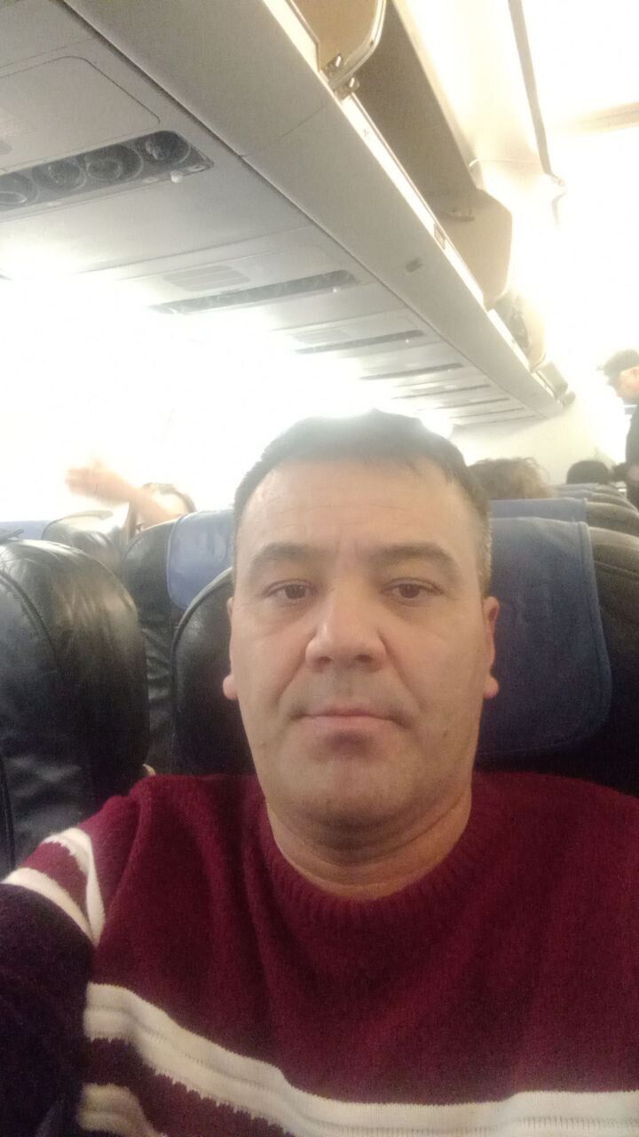  33530075  , 37 ,    