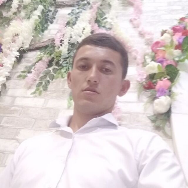  51486645  , 29 ,    