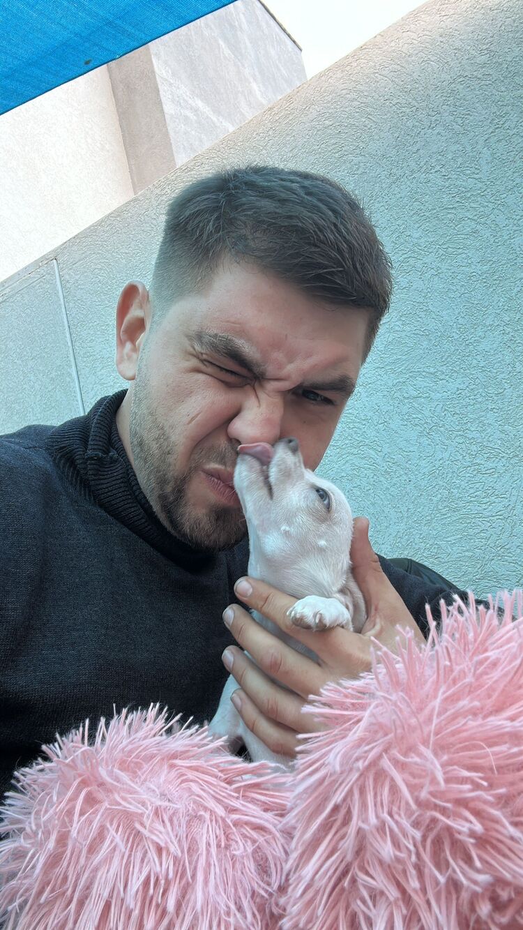  Ashqelon,   Ross, 31 ,   , 